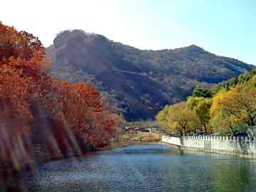 澳门天天免费精准大全，大鹏背景